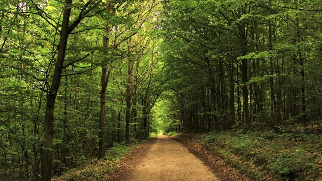 Fitness Motivation: Staying Inspired on Your Fitness Path