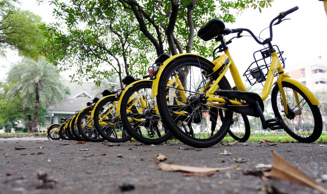 Holistic Living Spaces: Creating Environments for Wellbeing